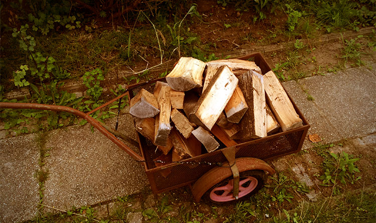 Das Feuerholz für die Feuerschale liegt bereit - Die-ideale-Feuerschale.de
